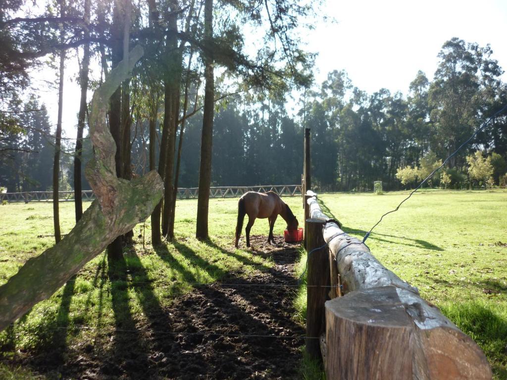 Отель Hacienda La Carriona Сангольки Экстерьер фото