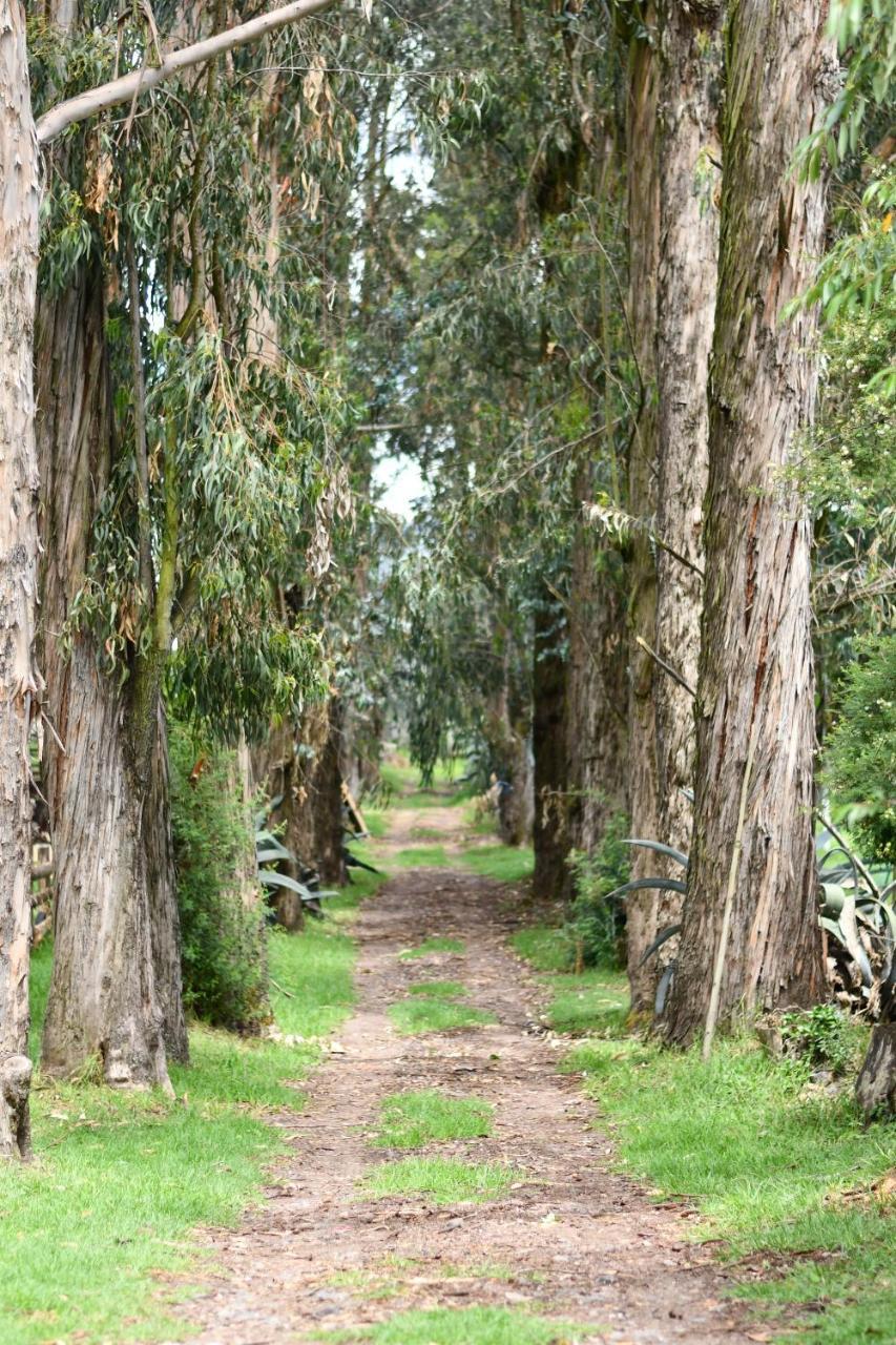 Отель Hacienda La Carriona Сангольки Экстерьер фото